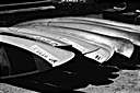 canoes