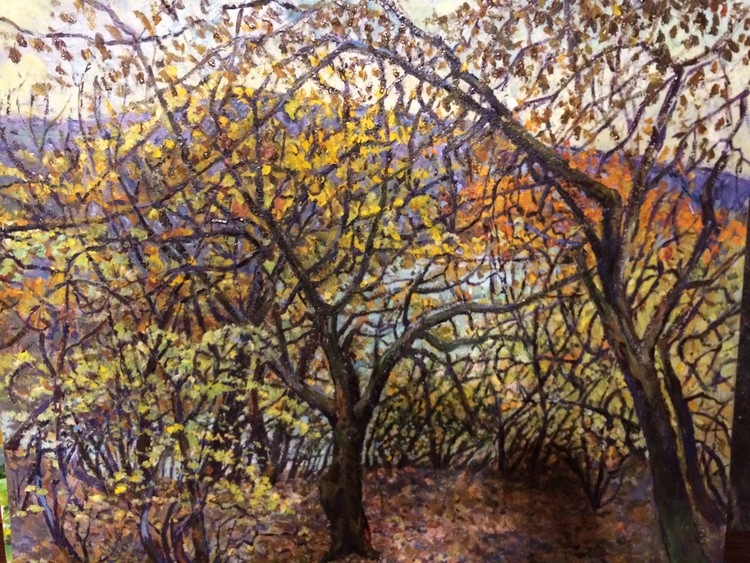 Autumn, Zhinvali lake