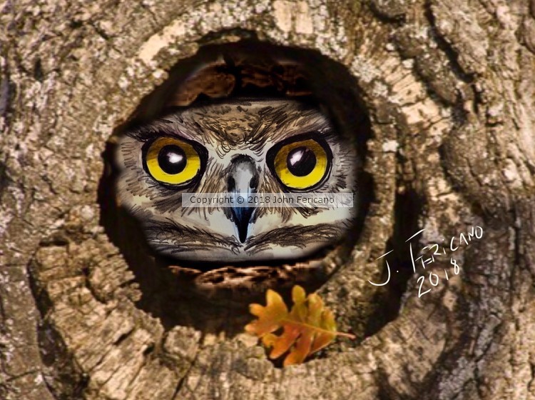 Owl in Tree Trunk