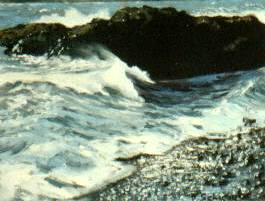 Rocky Shore