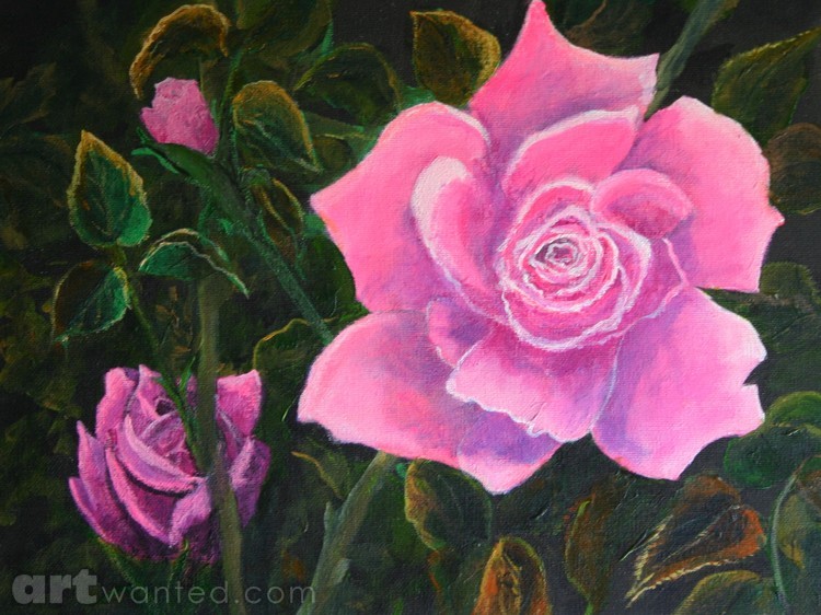 Hot Pink Rose