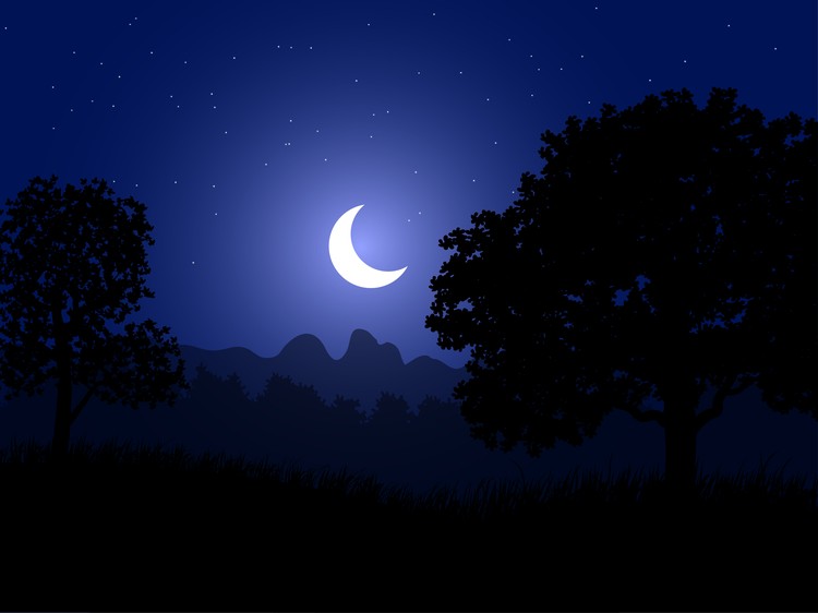 Crescent moon and trees