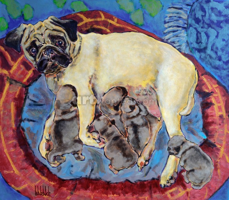 PUG CARLIN MATERNITY