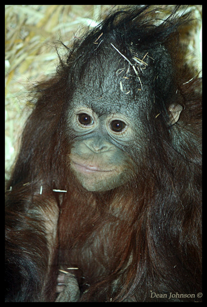 Bad Hair Day