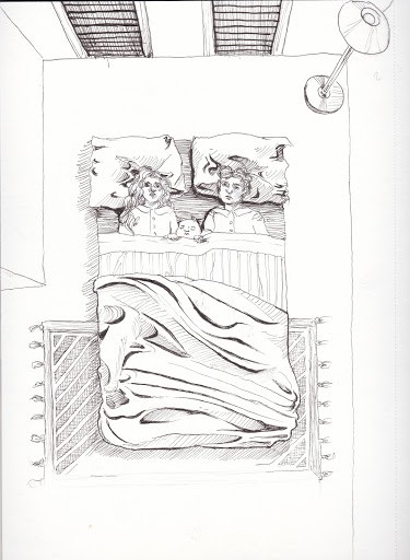 A Series of Unfortunate Events - Adapted Illustration