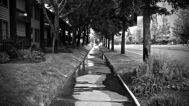 A Street in Black and White.