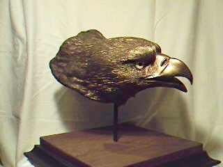 Liberty
