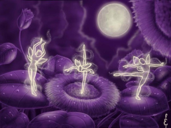 Dance of the Faeries