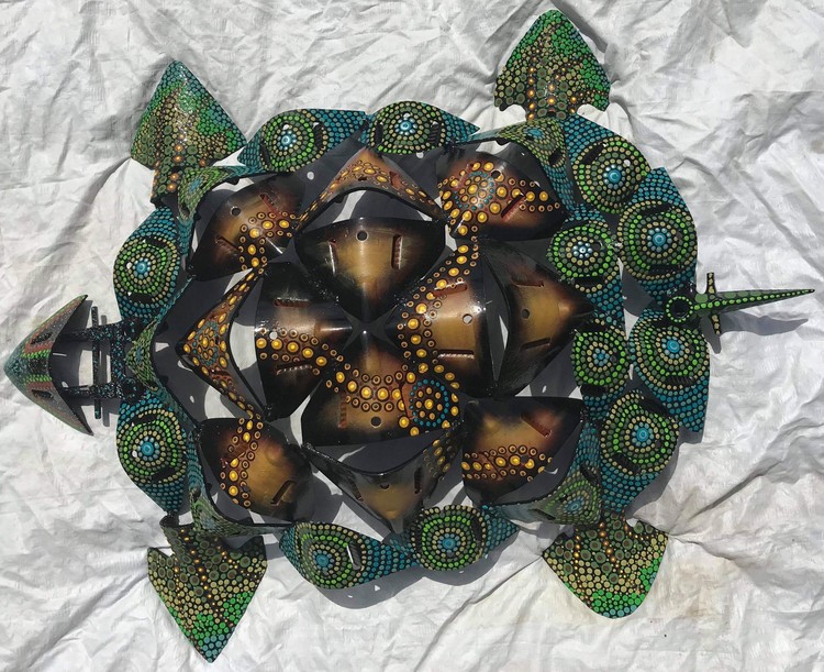Dumbleyung Turtle 