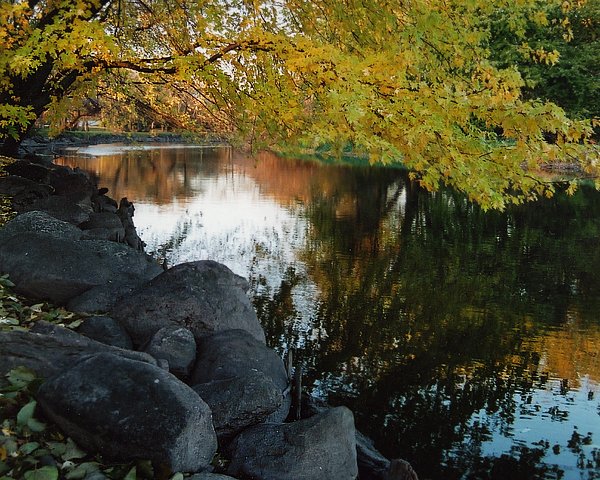 Peaceful
