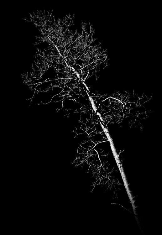 WHITE ON BLACK