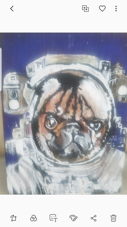Screenshot 20201217-163858 Gallery