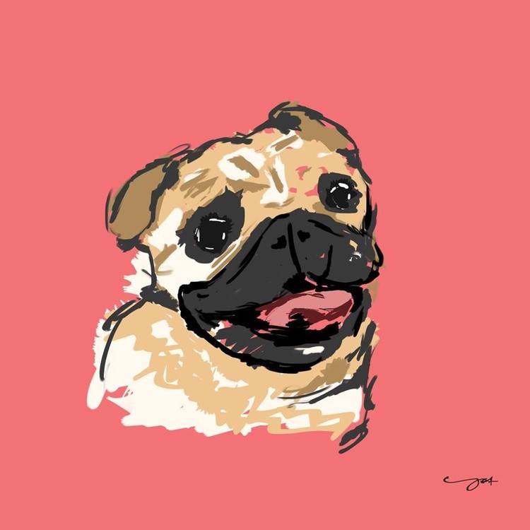 Pug