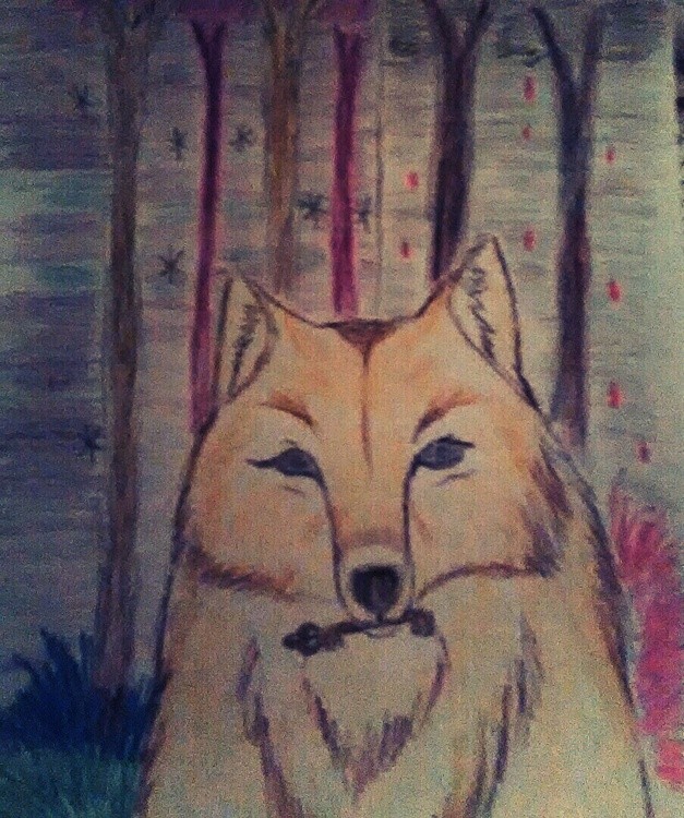 golden wolf