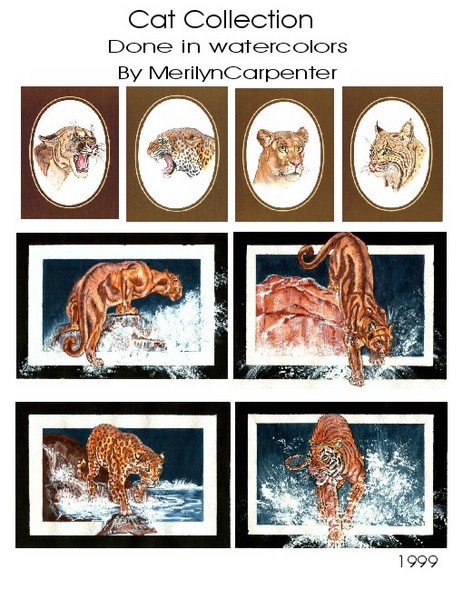 Cat Collection