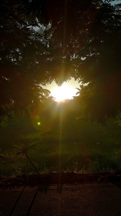 IMG 20201021 215856
