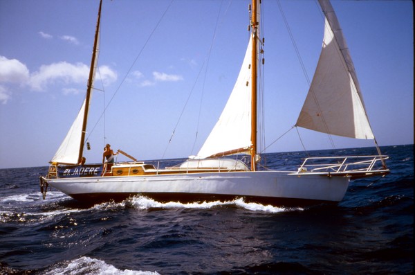 whale on starboard