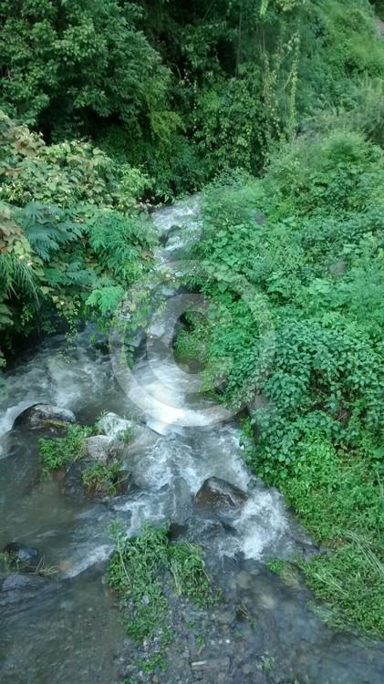 Stream of music