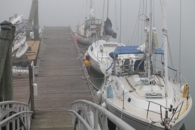 morning fog