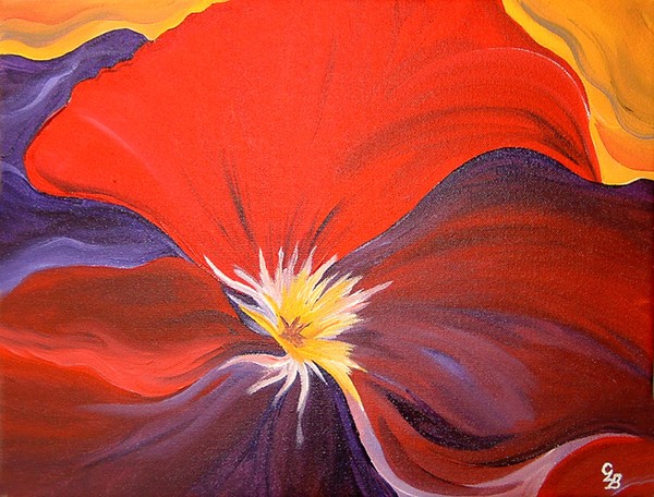 Pansy