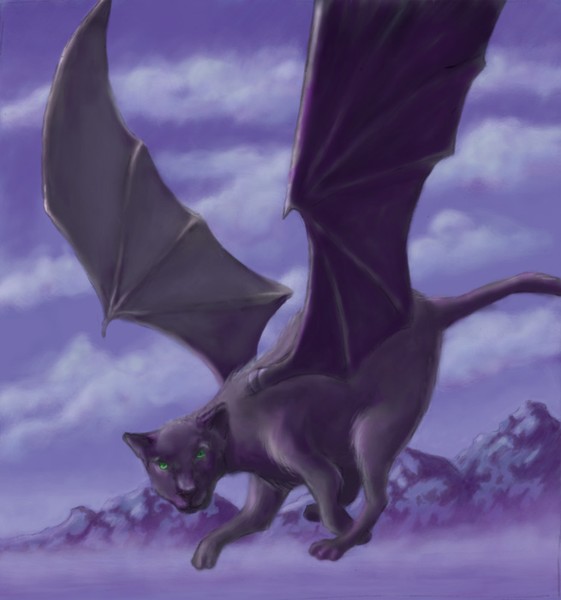 Sky Kitty