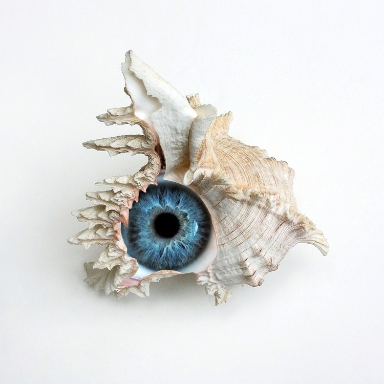 Iris Blue