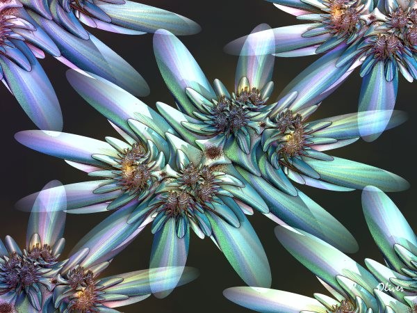 Floral001
