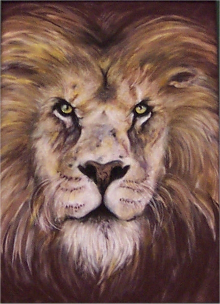 Lion Eyes