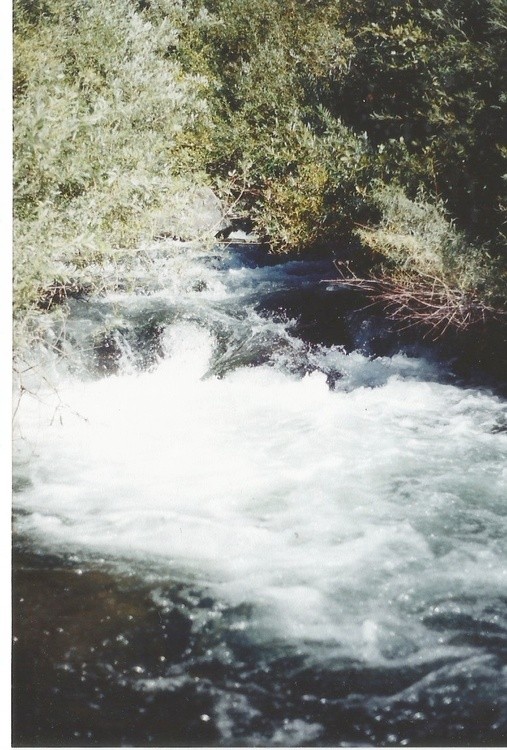 water path