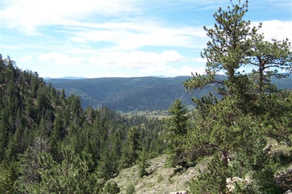 Pikens Point