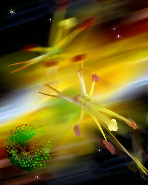 Florus