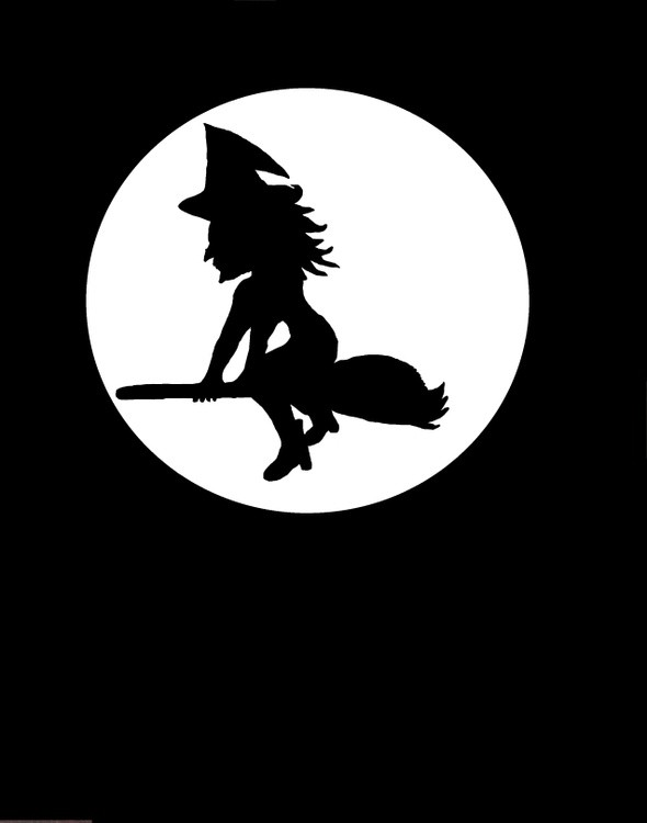 witch in front of  the moon