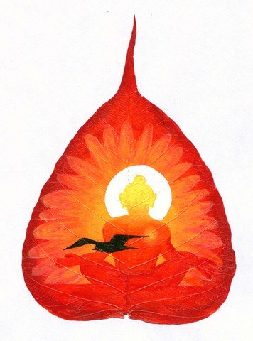 MEDITATION
