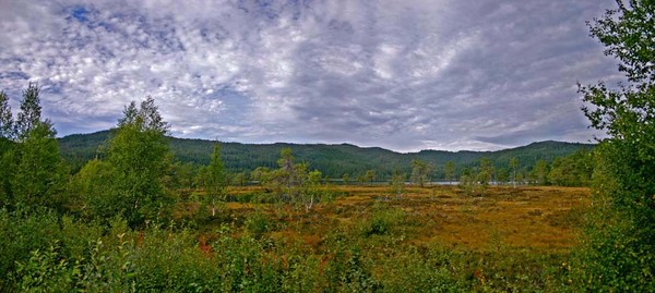 Fall in Bymarka