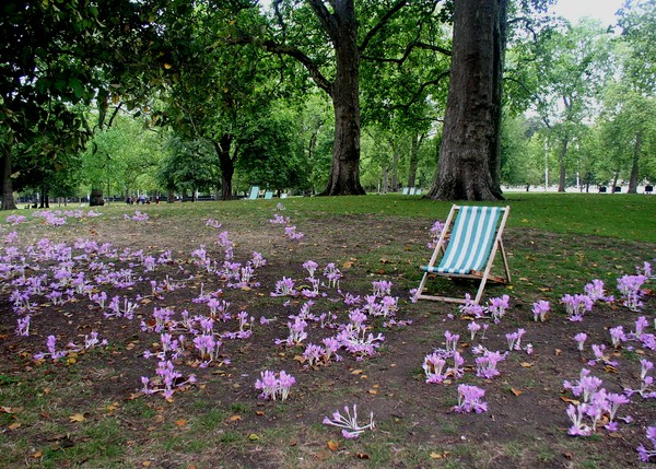 A great place to relax (2)