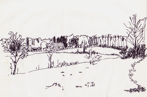 Edge of forrest