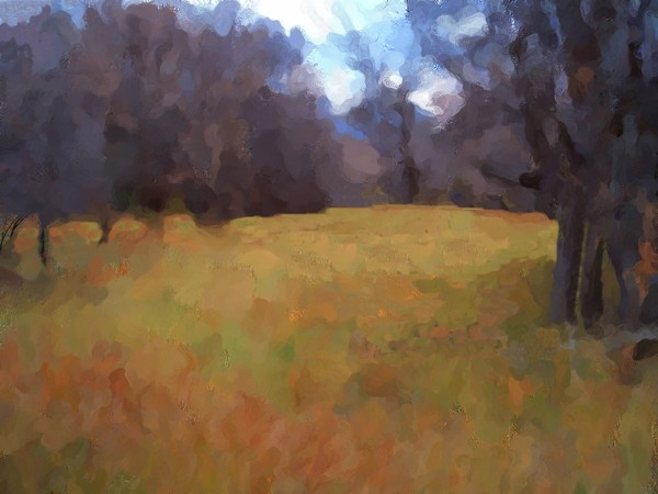 Cascade Meadow