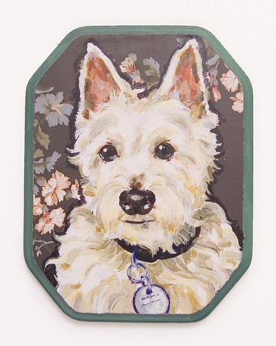 Westie