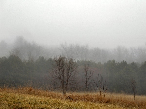 Early Winter