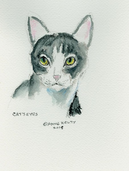 Cat;s Eyes