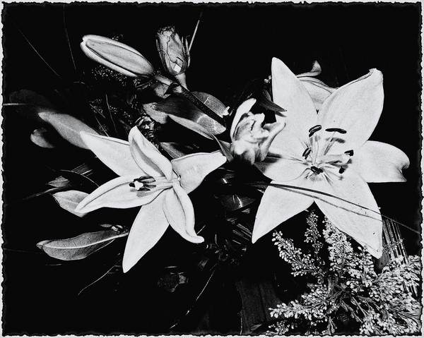 Lillies.