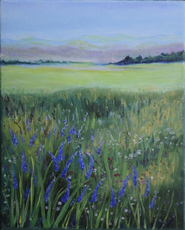 Delphinium Spring