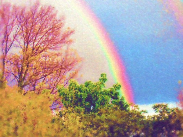 After the Storm