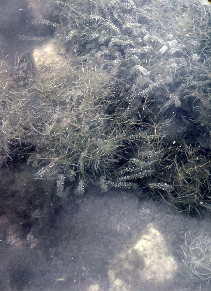 Underwater