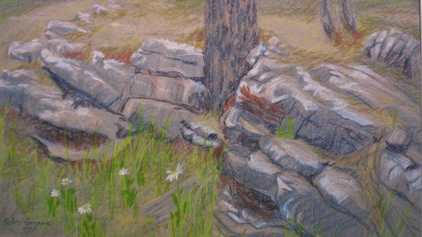Near The Mogollon Rim