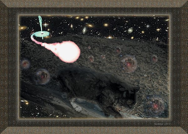 Cats in space
