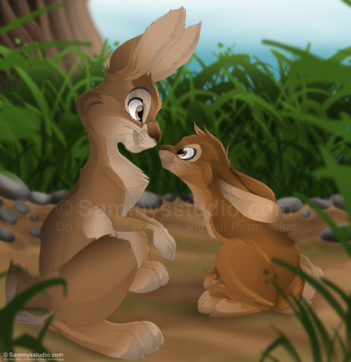 Bunnies