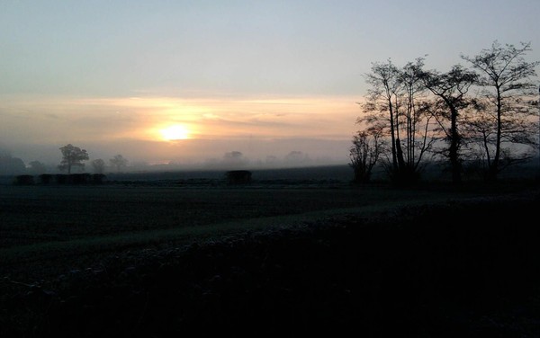 A Cold and frosty morning