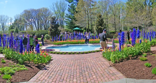 Pool at Mt. Cuba Center