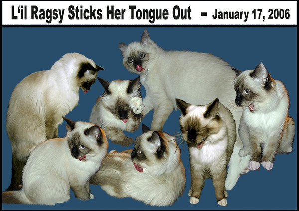 L'il Ragsy Sticks Her Tongue Out